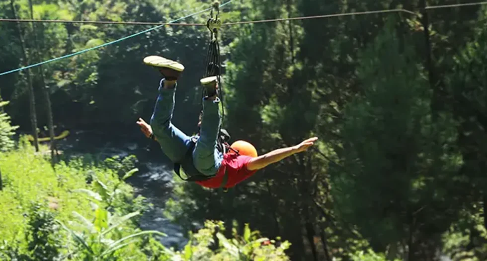 flyingfox pangalengan flyinigfox