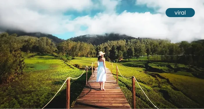 Destinasi Pangalengan Destinasi Pangalengan